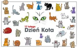 plakat akcji "dzień kota"